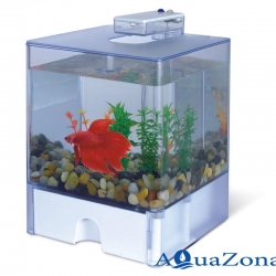 Аквариум для петушков АА-Aquarium Aqua Box Betta 3л